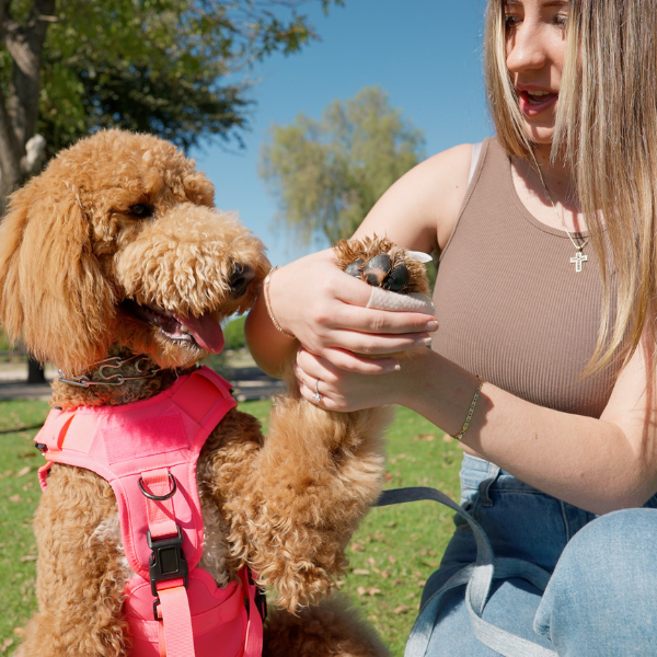 girl with dog