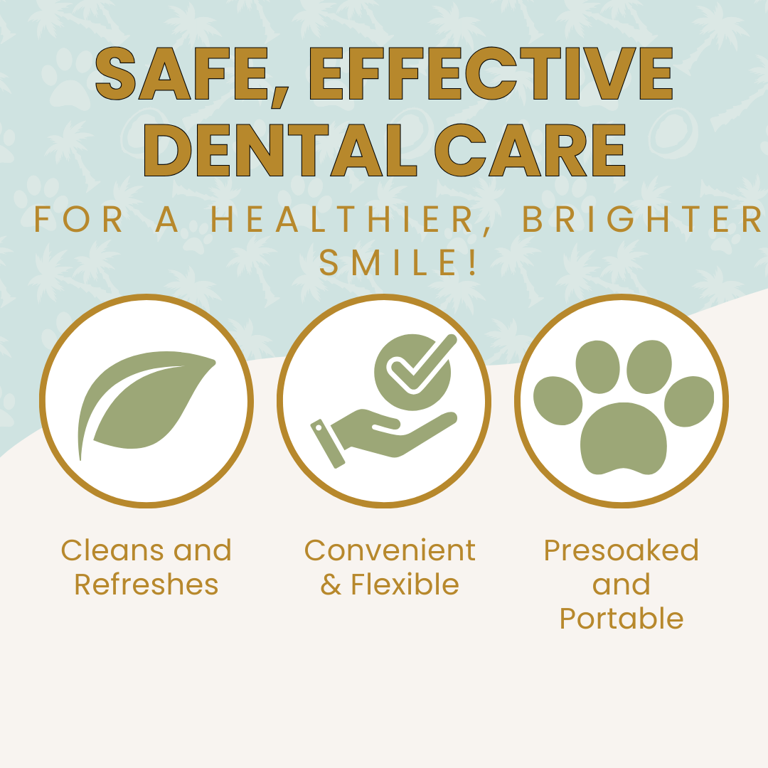 safe effective dental care
