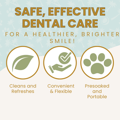 safe effective dental care