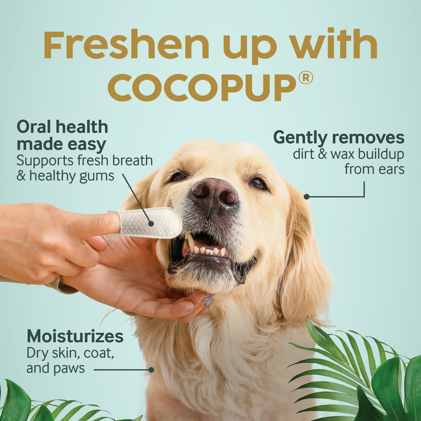 COCOPUP Wipes Wholesale 6 Packs